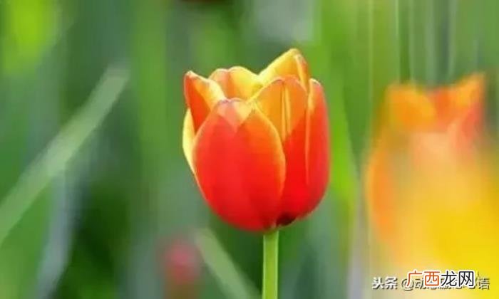感谢生命中最好的朋友 感谢朋友