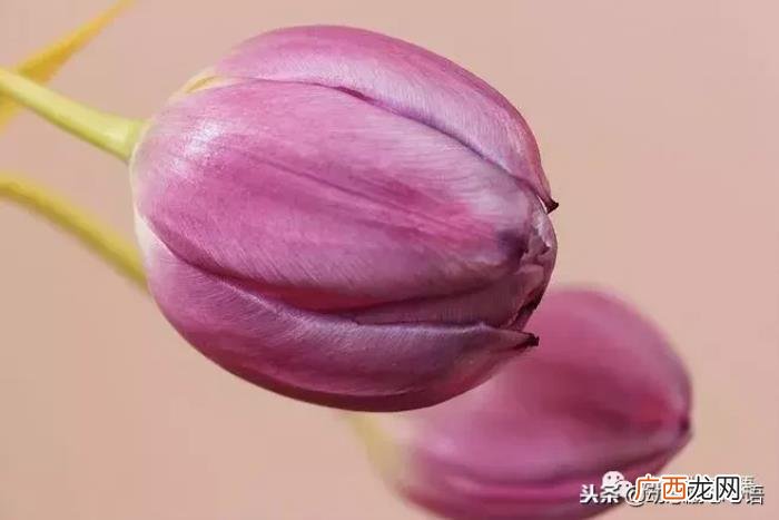 感谢生命中最好的朋友 感谢朋友