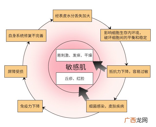 皮肤屏障受损什么意思 什么原因导致皮肤屏障受损