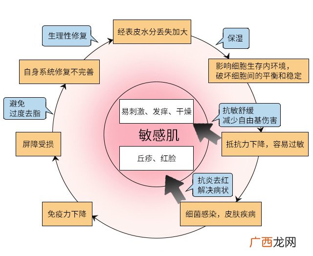 皮肤屏障受损什么意思 什么原因导致皮肤屏障受损