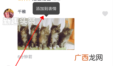 抖音评论猫咪蹦迪动态图表情包怎么发 抖音评论怎么发图片