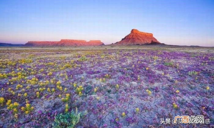 老公屡次出轨死不悔改 频繁出轨的男人会改吗