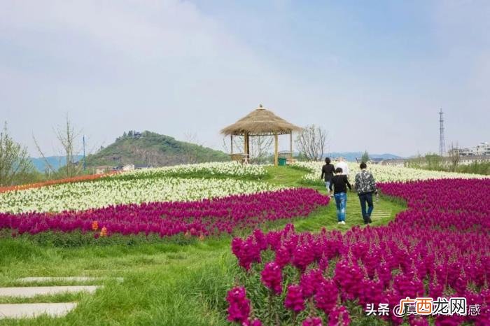 老公屡次出轨死不悔改 频繁出轨的男人会改吗