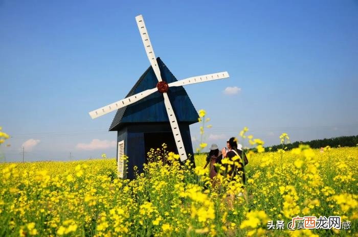 老公屡次出轨死不悔改 频繁出轨的男人会改吗