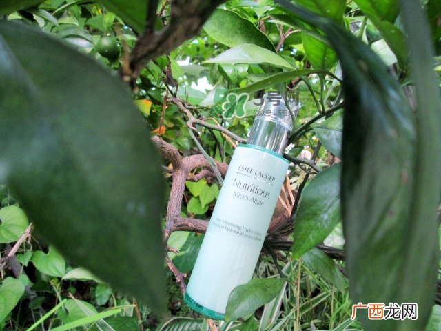 雅诗兰黛海藻精华乳怎么用_使用方法