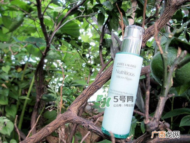 雅诗兰黛海藻精华乳怎么用_使用方法