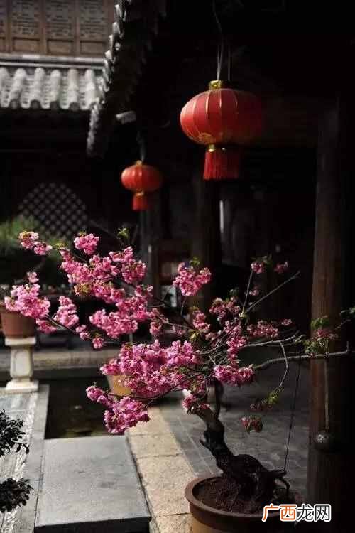 落花有意流水无情什么意思？上句才是精华，却很少有人知