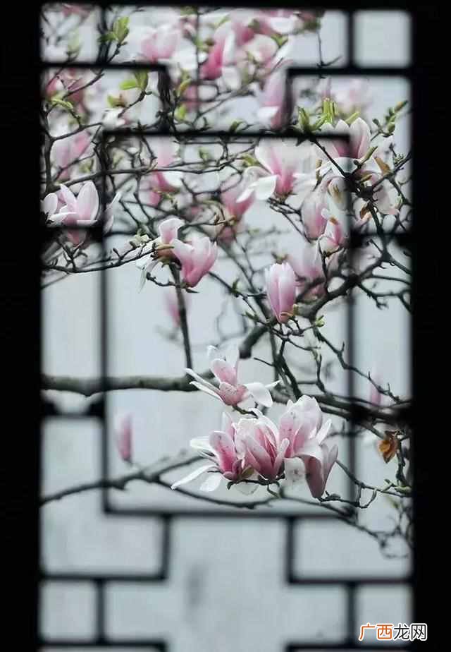 落花有意流水无情什么意思？上句才是精华，却很少有人知