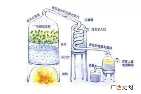 纯露可以用矿泉水稀释吗稀释的比例