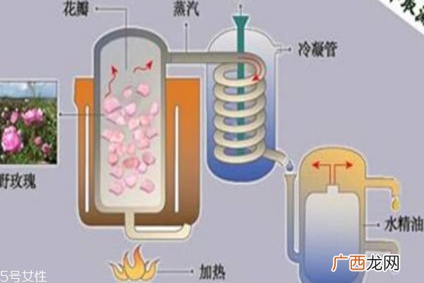 纯露和精油哪个好纯露更为安全