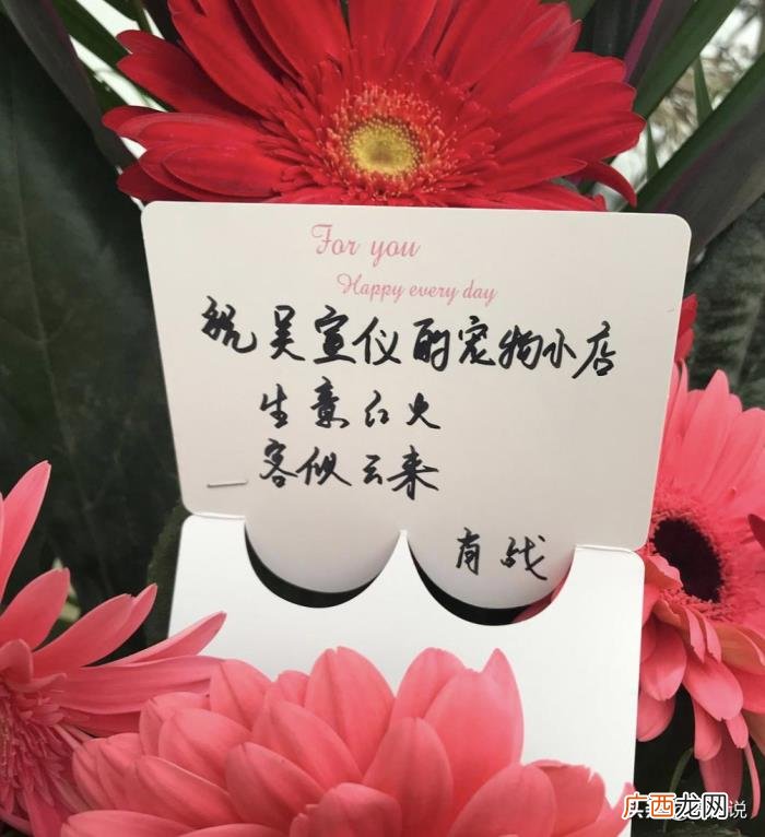 吴宣仪肖战，中国好同事肖战为吴宣仪新店开张送花篮
