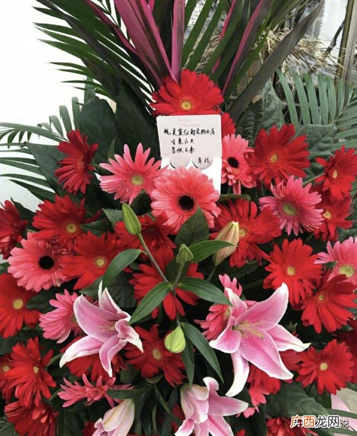 吴宣仪肖战，中国好同事肖战为吴宣仪新店开张送花篮
