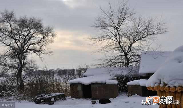 瑞雪兆丰年什么意思？“瑞雪兆丰年”到底有什么科学依据呢？