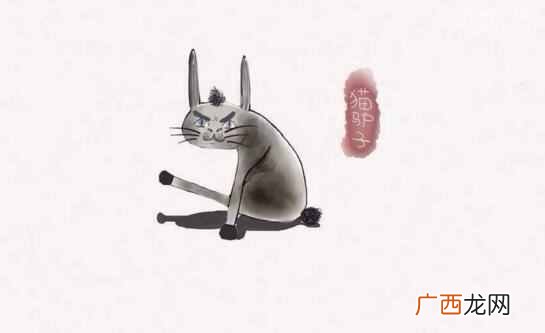 犊子是什么意思？东北话犊子是什么意思？