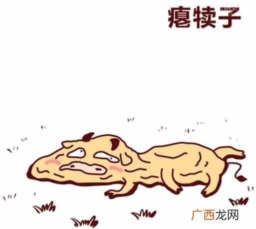 犊子是什么意思？东北话犊子是什么意思？