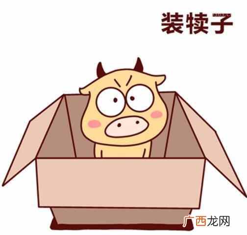犊子是什么意思？东北话犊子是什么意思？