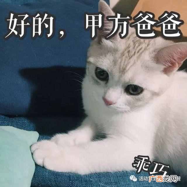 冠名是什么意思？主办方、承办方、协办方、赞助方、冠名方有什么区