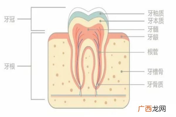 美牙仪伤牙齿吗如何正确使用美牙仪
