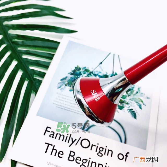 skii磁力微振导入仪怎么用？sk2磁力微震导入仪使用方法