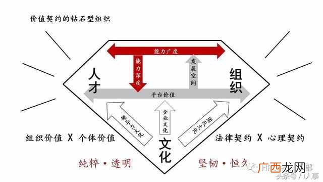 td什么意思？科普：绕晕你的OD、OC、TD