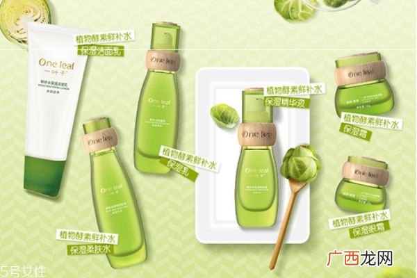 一叶子精华液怎么用一叶子精华液作用是什么