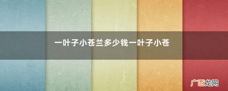 一叶子小苍兰多少钱一叶子小苍兰使用顺序