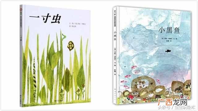 什么是扉页？护封，环衬，封面，扉页傻傻分不清