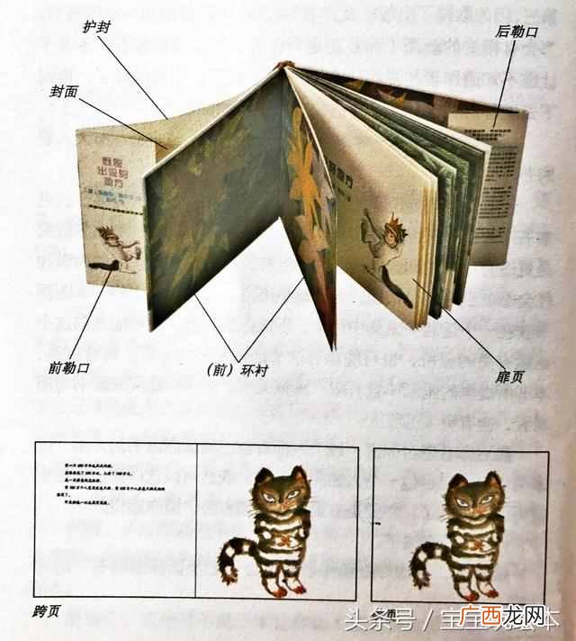什么是扉页？护封，环衬，封面，扉页傻傻分不清