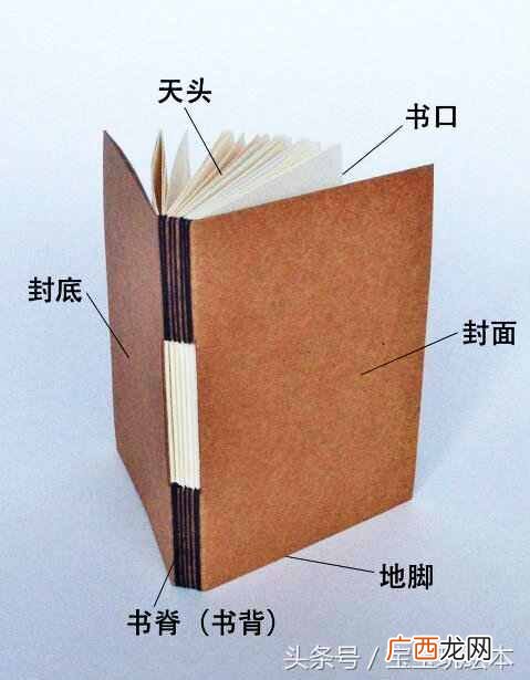 什么是扉页？护封，环衬，封面，扉页傻傻分不清