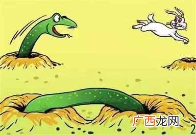 狡兔三窟的意思?每日成语故事:狡兔三窟