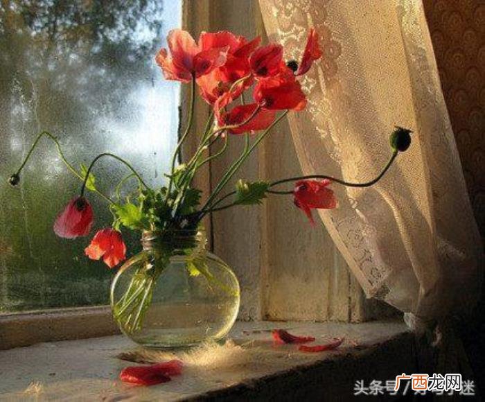说到心坎的伤感个性签名 qq伤感个性签名