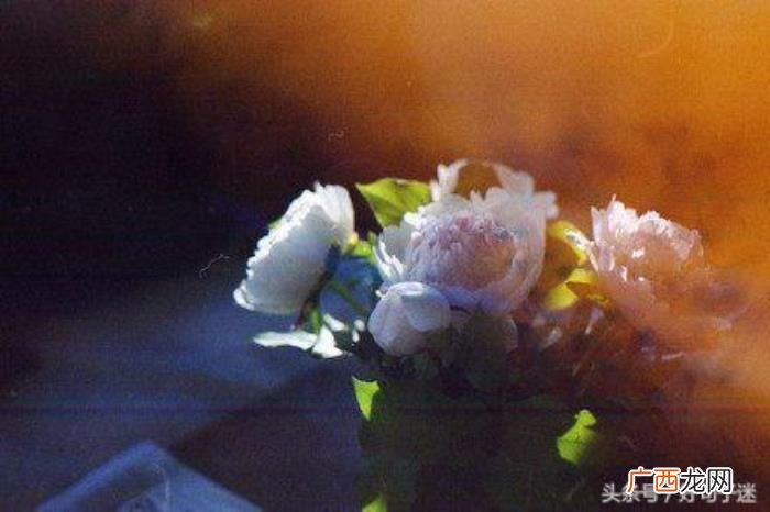 说到心坎的伤感个性签名 qq伤感个性签名