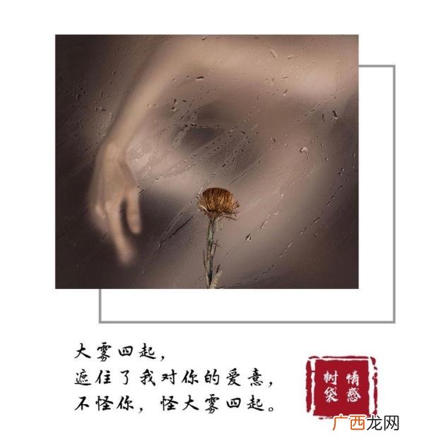 还是想前任男友我该怎么办，忘不了我的前男友我该怎么办