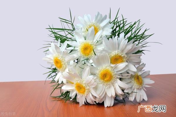 暗恋一个女生送什么生日礼物，久别重逢的暗恋对象送什么礼物