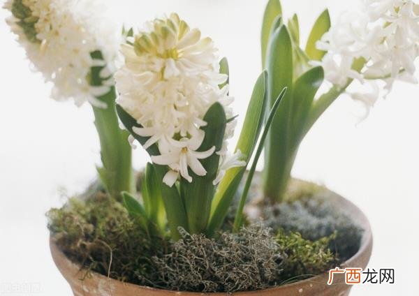暗恋一个女生送什么生日礼物，久别重逢的暗恋对象送什么礼物