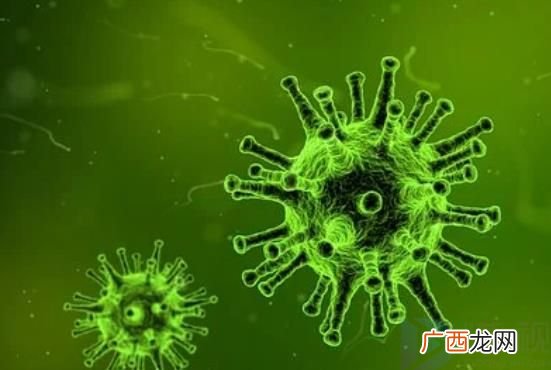 美加州多地废水中检出猴痘病毒 美国猴痘病例超2800例