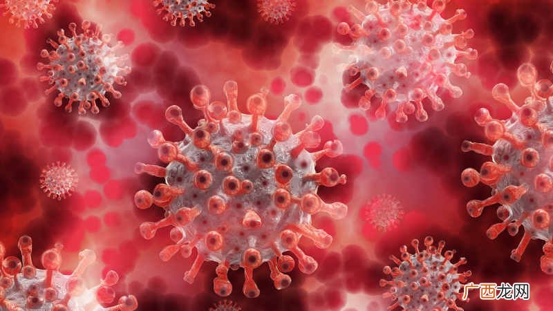 美加州多地废水中检出猴痘病毒 美国猴痘病例超2800例