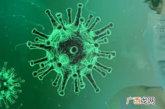 世卫针对猴痘发布最高级别警报 猴痘病例超1.6万！