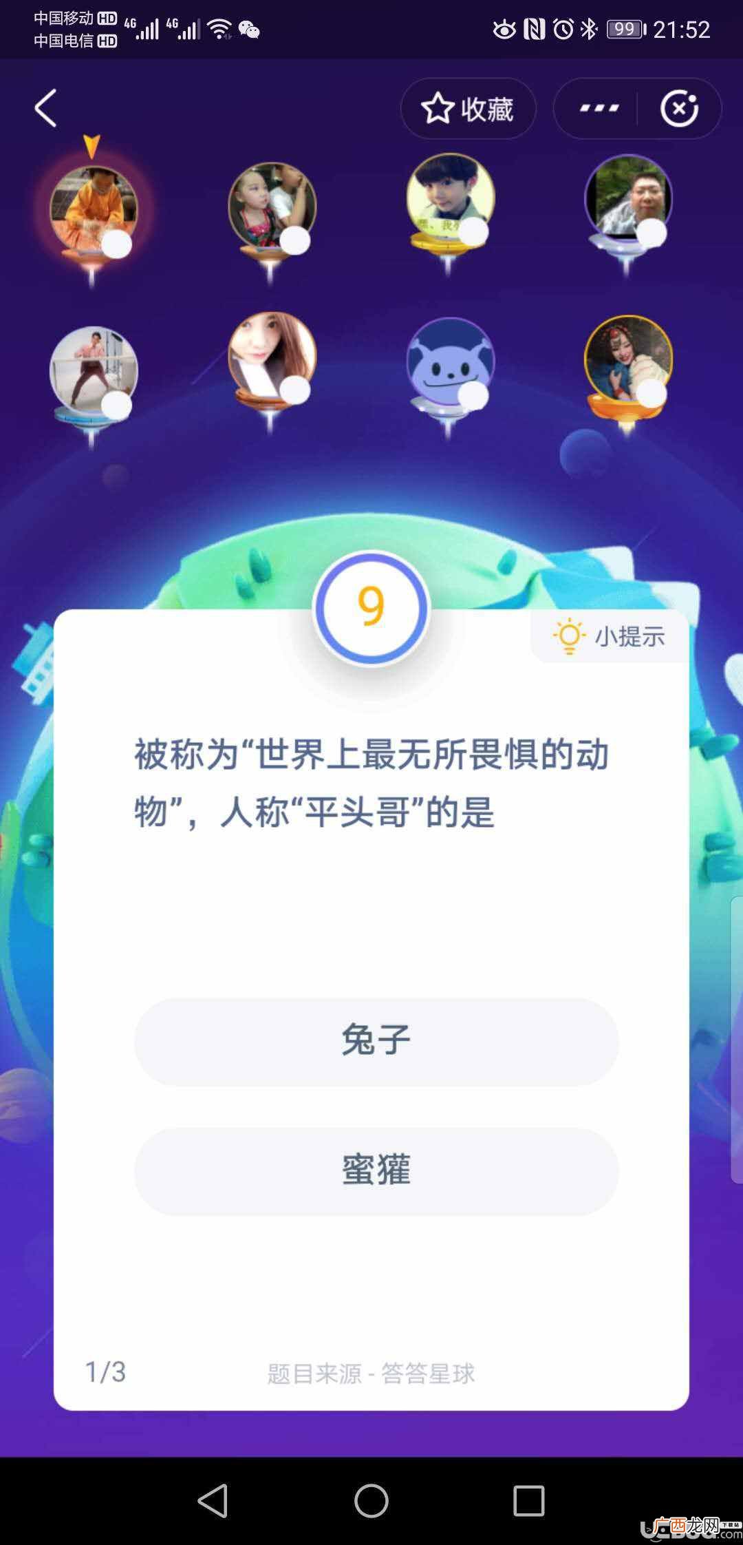 世界上最无所谓的动物是什么？世界上最无所畏惧的动物人称平头哥