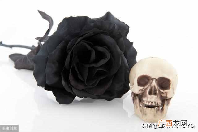 蓝玫瑰的含义？玫瑰花语大全 蓝玫瑰花语