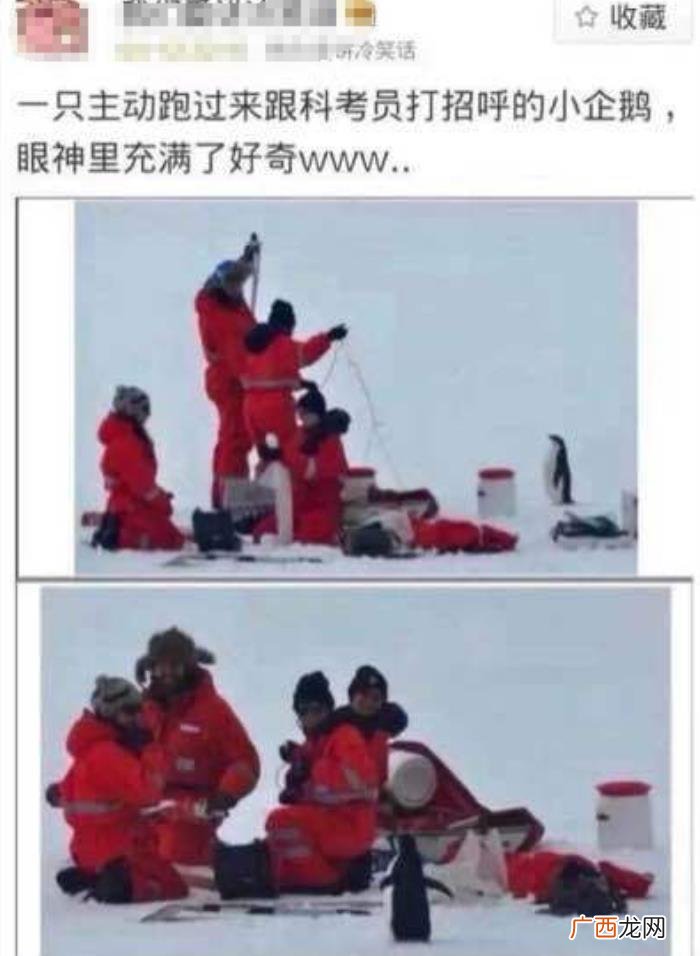 25张搞笑图片大锦集 搞笑qq图片