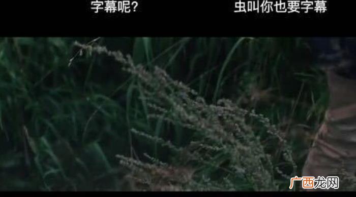 25张搞笑图片大锦集 搞笑qq图片