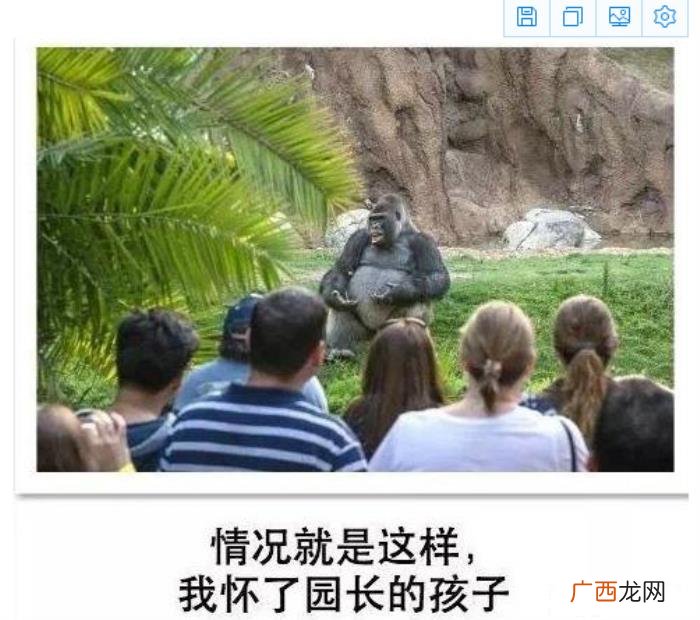 25张搞笑图片大锦集 搞笑qq图片