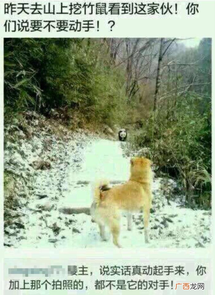 25张搞笑图片大锦集 搞笑qq图片