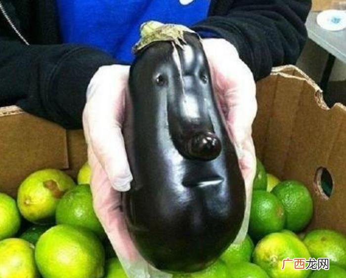 25张搞笑图片大锦集 搞笑qq图片