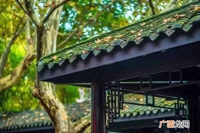 人心不足蛇吞是什么？“人心不足蛇吞象”原来讲的是这个故事，涨知
