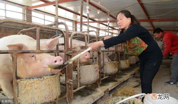 在外工作的丈夫不回家过年 老公不回家可以报警吗
