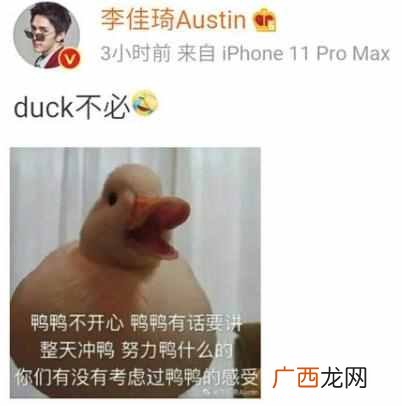 duck是什么意思？duck不必什么意思什么梗
