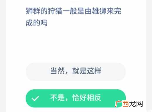狮群的狩猎主要是？狮群的狩猎一般是由雄狮来完成的吗?