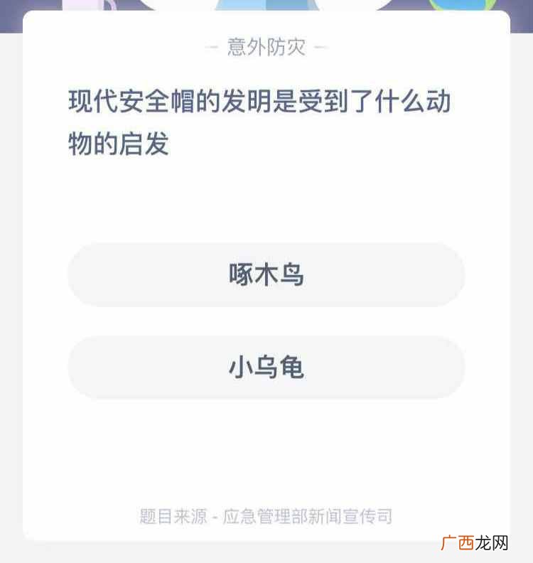 现代安全帽的发明？现代安全帽的发明是受到了什么动物的启发？